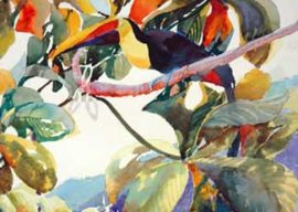 How I Work Through Painting’s Challenges – Toucan Fly, 2005