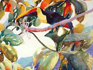 How I Work Through Painting’s Challenges – Toucan Fly, 2005