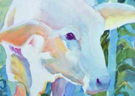 Painting Demo: Gentle White Cow